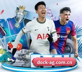 dock-ag.com.cn的方向